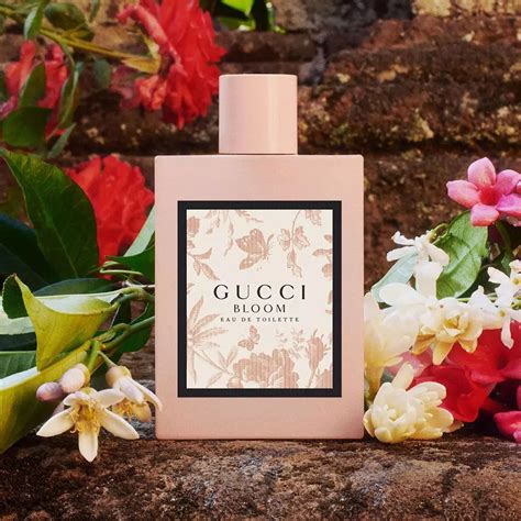 gucci bloom 5 oz|Gucci Bloom edt fragrantica.